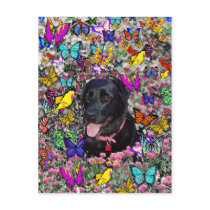 Abby in Butterflies – Black Lab in Butterflies Post Cards