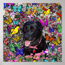 Abby in Butterflies – Black Lab in Butterflies Poster
