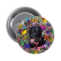 Abby in Butterflies Button - Black Labrador buttons