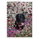 Abby in Flowers – Black Lab Card