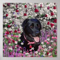 Abby in Flowers – Black Lab in Flowers Posters