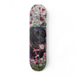 Abby in Flowers – Black Lab in Flowers Skate Board