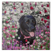 Abby in Flowers – Black Lab in Flowers Ceramic Tiles