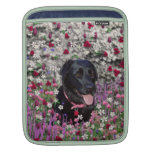Abby in Flowers – Black Lab Ipad Sleeves