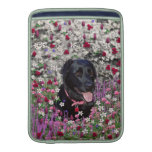 Abby in Flowers – Black Lab Macbook Sleeves