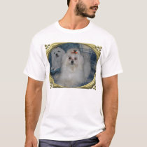 Abby in Frame t-shirts