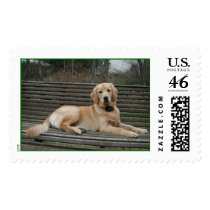 Abby on Swing Stamp