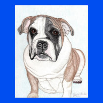 Abby