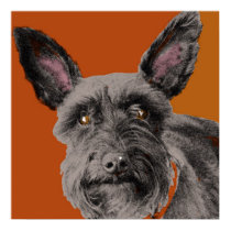 Abby Schnauzer posters by bigorangedog Abby Schnauzer posters