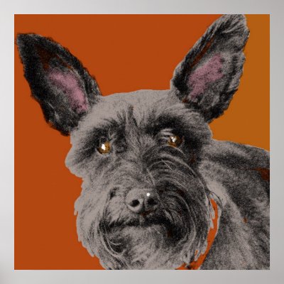 Abby Schnauzer Print by bigorangedog