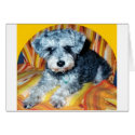 Abby the Schnoodle cards by kilapp Abby the Schnoodle cards