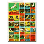 Abc Alphabet in English A to Z Alphabet chart Greeting Card