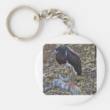 Abdim's Stork Key Chains