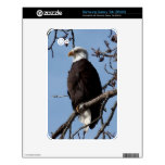 ABE Eagle calvo de Alaska Samsung Galaxy Tab Calcomanía