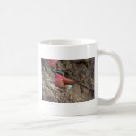 Abeja-Comedor del carmín Tazas