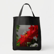 Abeja ocupada en la bolsa de asas roja de la dalia