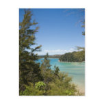 Abel Tasman N.P. Lagoon Post Card