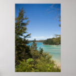 Abel Tasman N.P. Lagoon Poster