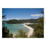 Abel Tasman N.P. Shore DSC8721 Greeting Card