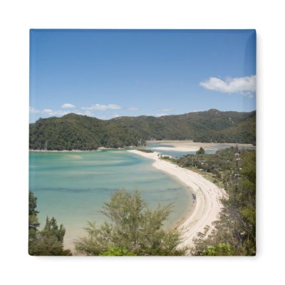 Abel Tasman N.P. Shore DSC8721 Fridge Magnets by SabineSt