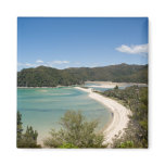 Abel Tasman N.P. Shore DSC8721 Fridge Magnets