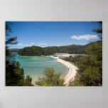 Abel Tasman N.P. Shore DSC8721 Print