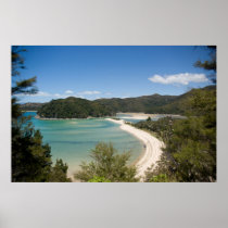 Abel Tasman N.P. Shore DSC8721 Print