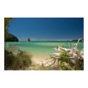 Abel Tasman Shoreline Poster posters by SabineSt Abel Tasman Shoreline Poster posters