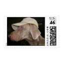 Aben with a hat on postage