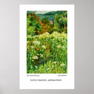 Abergavenny Castle Meadows Print or Poster print