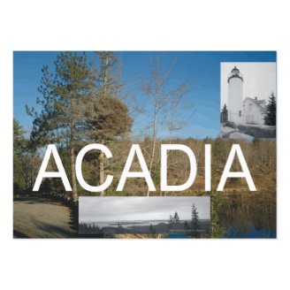ABH Acadia Business Card Template