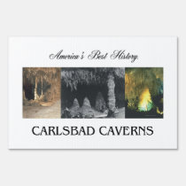 ABH Carlsbad Caverns yard signs