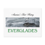 ABH Everglades Postcard