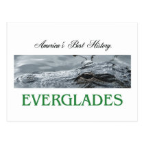 ABH Everglades Postcard