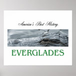 ABH Everglades Print