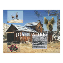 ABH Joshua Tree postcards