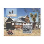ABH Joshua Tree Post Cards