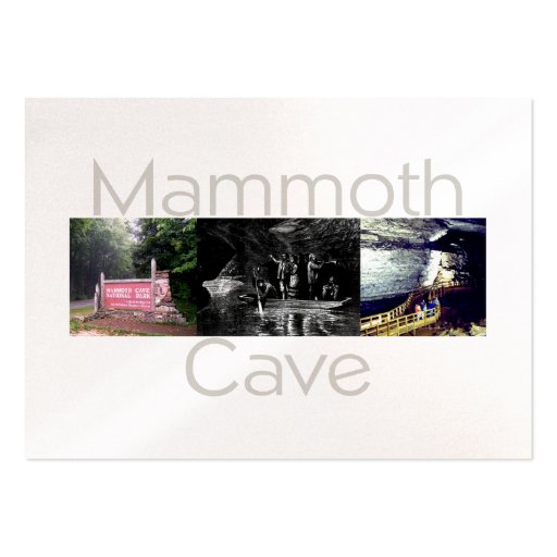ABH Mammoth Cave Business Cards (front side)