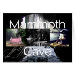 ABH Mammoth Cave Cards