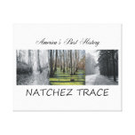 ABH Natchez Trace Canvas Print