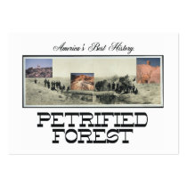 ABH Petrified Forest business cards