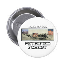 ABH Petrified Forest buttons