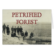 ABH Petrified Forest cards
