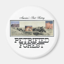 ABH Petrified Forest magnets