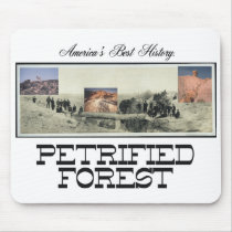 ABH Petrified Forest mousepads