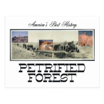ABH Petrified Forest postcards
