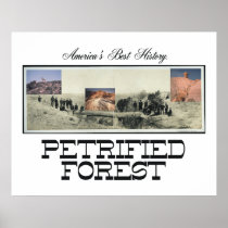 ABH Petrified Forest posters