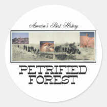 ABH Petrified Forest stickers