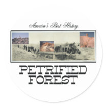 ABH Petrified Forest Round Stickers