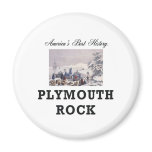 ABH Plymouth Rock magnets